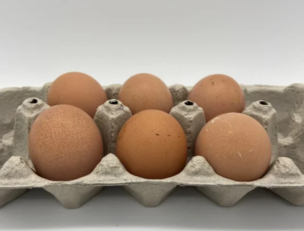 Brown Egger™ Hatching Eggs