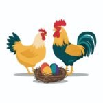 Roosters And Hens