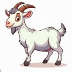 Goats